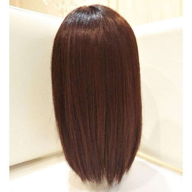 レミー人毛100%シルクスキンI型つむじ地肌✨筧美和子❣️艶髪!美人