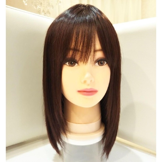 レミー人毛100%ウィッグ✨シルクスキン地肌✨浜辺美波❣️艶髪!美人