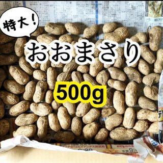 ① おおまさり 500g 生らっかせい 落花生 掘り立て 土付き ピーナッツ(野菜)