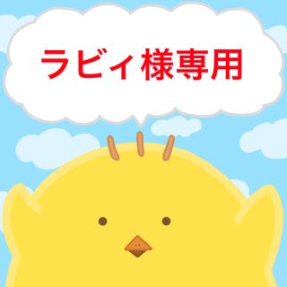 ラビィ様専用　　10/2(その他)