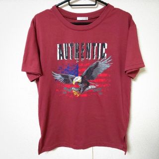 コルザ(COLZA)のCOLZA コルザ 半袖Tシャツ 半袖 Tシャツ トップス Sサイズ(Tシャツ/カットソー(半袖/袖なし))