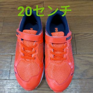 プーマ(PUMA)の新品PUMA20㌢　スピードモンスター(スニーカー)