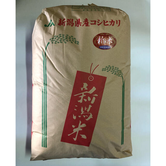 米/穀物新米！新潟県産コシヒカリ低温保存(玄米)20k
