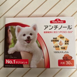 アンチノール犬用(犬)