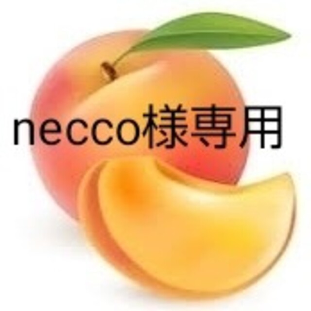 necco様専用西尾ゴールド家庭用10個 食品/飲料/酒の食品(フルーツ)の商品写真