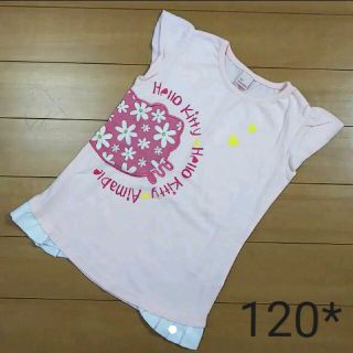 サンリオ(サンリオ)のsize 120* 新品⭐️Sanrio Kitty(Tシャツ/カットソー)