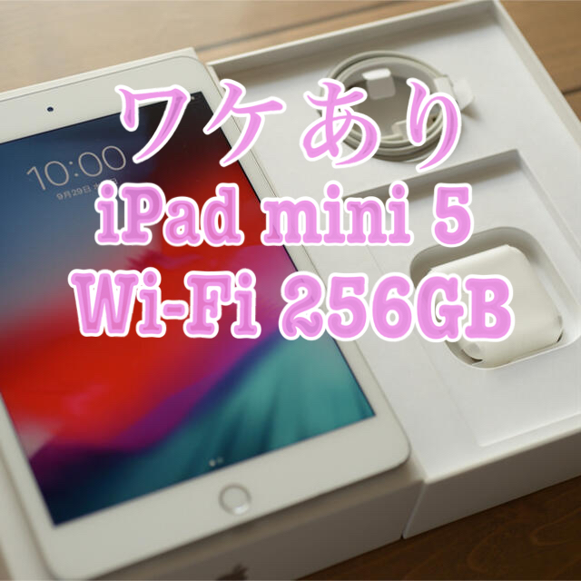 iPad mini 第5世代 Wi-Fi 256GB 液晶傷、凹みあり