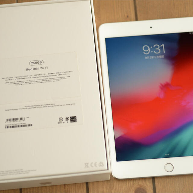 iPad mini 第5世代 Wi-Fi 256GB 液晶傷、凹みあり 3