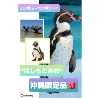 はしもとみお　ガチャ　かりゆし水族館　限定　フンボルトペンギン(その他)