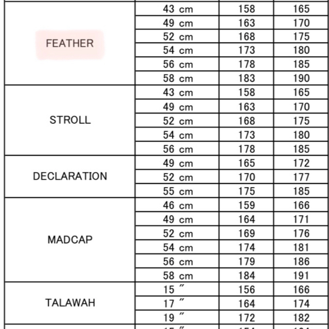 FUJI BIKES(フジバイクス)の無人島のカップル様専用　 スポーツ/アウトドアの自転車(自転車本体)の商品写真