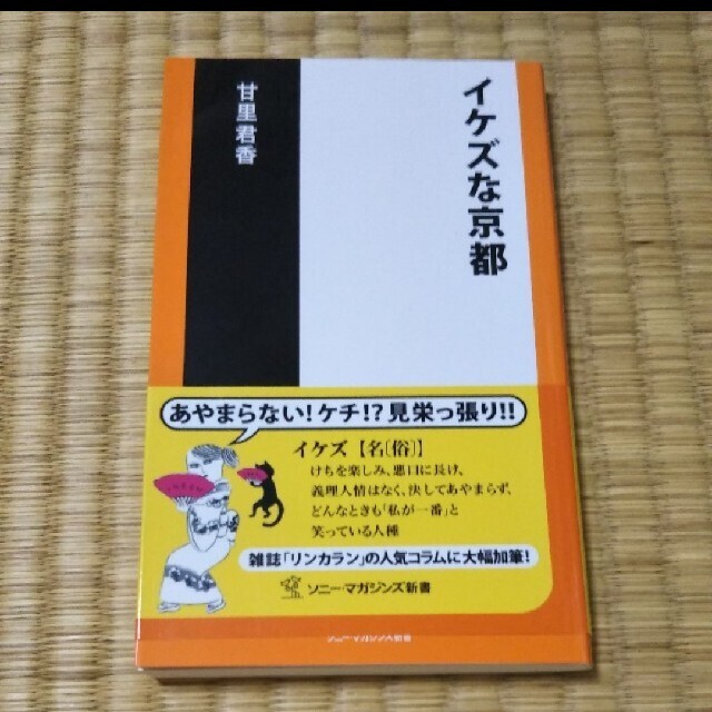 イケズな京都 エンタメ/ホビーの本(人文/社会)の商品写真