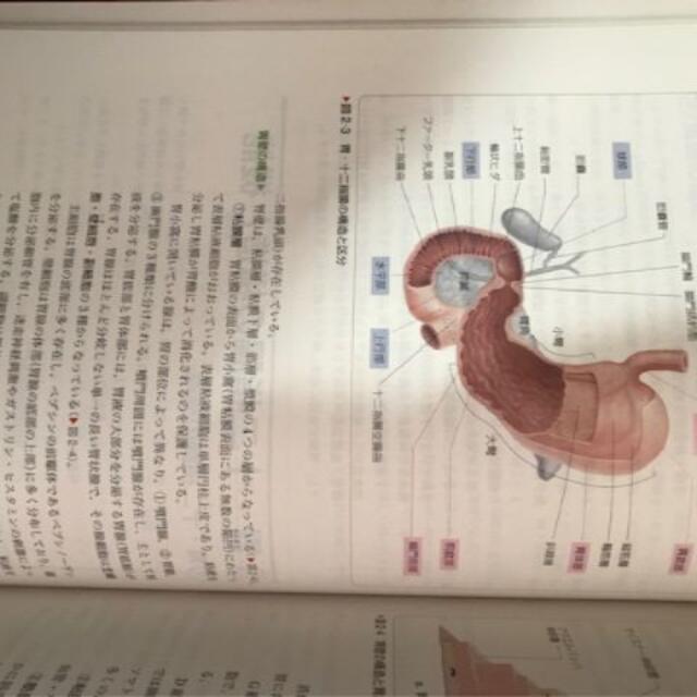 消化器　成人看護学5 エンタメ/ホビーの本(健康/医学)の商品写真