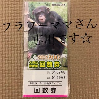 秋田市大森山動物園　回数券1枚(動物園)