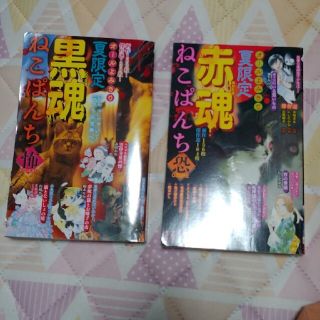 ねこぱんち　恐OSORE 怖KOWAI 赤魂　黒魂　夏限定　2冊セット　よみきり(その他)