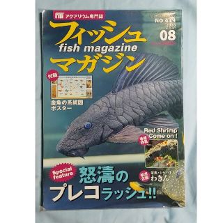 月刊フィッシュマガジン　2003年8月号(趣味/スポーツ)