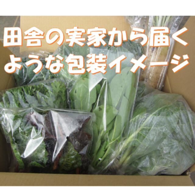 秋を感じる野菜セット　秋野菜の詰め合わせ　８０サイズ　１０月９日〜１０日の発送 食品/飲料/酒の食品(野菜)の商品写真