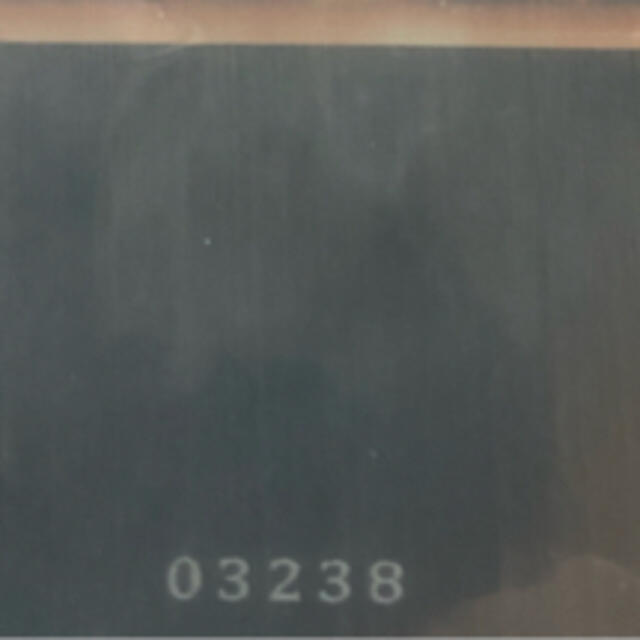 遊戯王(ユウギオウ)のブラックマジシャンガール　ステンレス エンタメ/ホビーのトレーディングカード(シングルカード)の商品写真