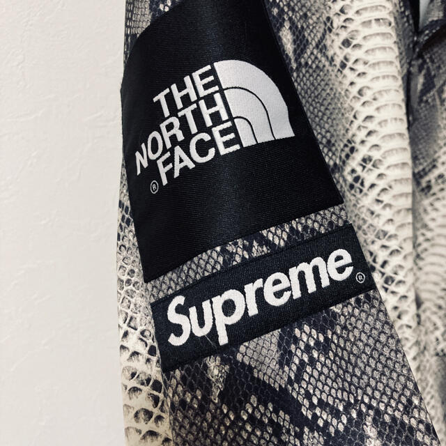 18SS SUPREME×the north face snake size M 2