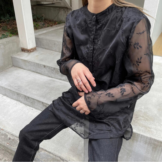 willfully embroidery chiffon sheer BL 1