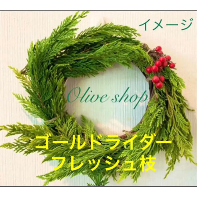クリスマスリース/スワッグ材 装飾素材など⭐️ゴールドライダー枝 30cm4本 ハンドメイドのフラワー/ガーデン(その他)の商品写真
