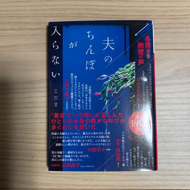 夫のちんぽが入らない エンタメ/ホビーの本(文学/小説)の商品写真