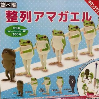 並べ隊 整列アマガエル 4種＋シークレット　奇譚クラブ　ガチャ(その他)