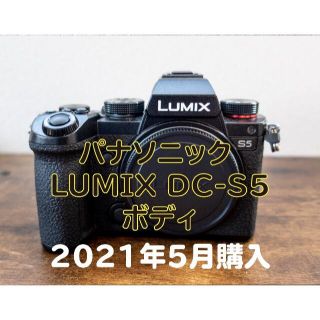 パナソニック(Panasonic)のパナソニック LUMIX DC S5 ボディ(ミラーレス一眼)