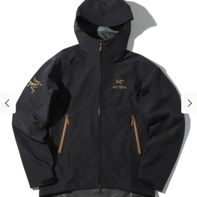 ARC'TERYX(アークテリクス)のARC’TERYX × BEAMS 別注 Zeta SL Jacket Lサイズ メンズのジャケット/アウター(マウンテンパーカー)の商品写真