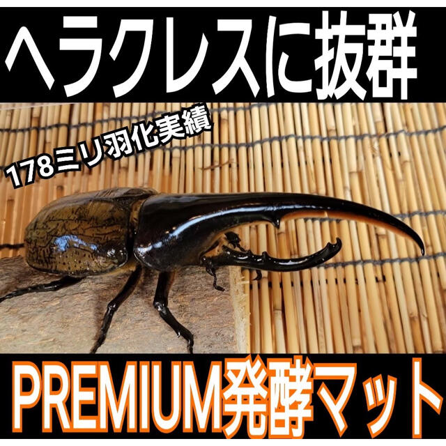 増量50L☆プレミアム3次発酵カブトマット 特殊アミノ酸・共生