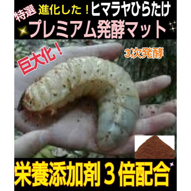 うとメスが 増量50L☆プレミアム3次発酵カブトマット by iketeru's shop|