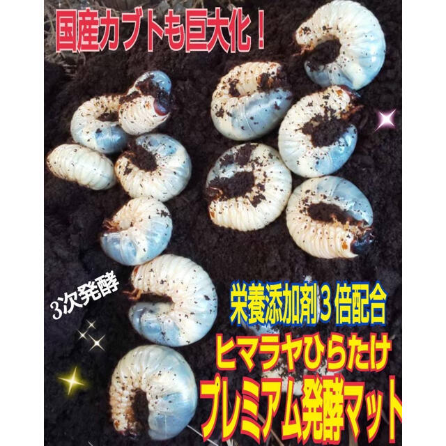 増量50L☆プレミアム3次発酵カブトマット　特殊アミノ酸・共生バクテリア3倍配合 9