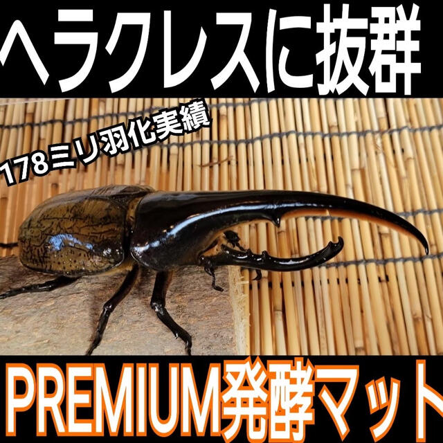 増量50L☆プレミアム3次発酵カブトマット　特殊アミノ酸・共生バクテリア3倍配合