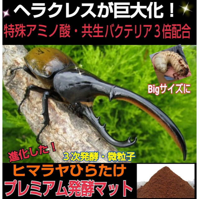 増量50L☆プレミアム3次発酵カブトマット 特殊アミノ酸・共生