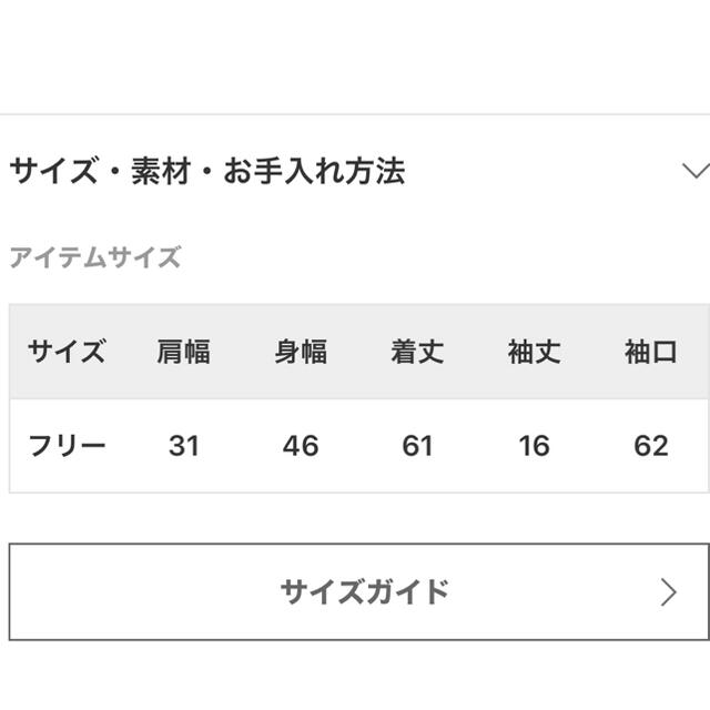 SLOBE IENA(スローブイエナ)のSLOBE IENA コットンボイルラッフルスリーブブラウス レディースのトップス(シャツ/ブラウス(半袖/袖なし))の商品写真