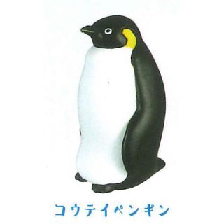 南極物語　ペンギンとアザラシ　コウテイペンギン(その他)