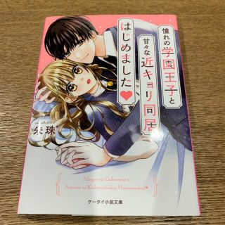 憧れの学園王子と甘々な近キョリ同居はじめました(文学/小説)