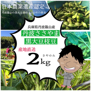 2021年丹波篠山産　黒大豆の枝豆　サヤ２kg(野菜)