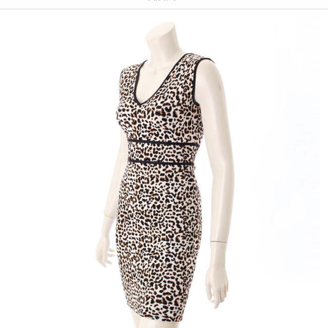 BCBGMAXAZRIA(ビーシービージーマックスアズリア)のBCBGMAXAZRIA Fancy Leopard Dress XXS レディースのワンピース(ひざ丈ワンピース)の商品写真