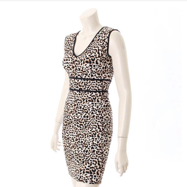 BCBGMAXAZRIA(ビーシービージーマックスアズリア)のBCBGMAXAZRIA Fancy Leopard Dress XXS レディースのワンピース(ひざ丈ワンピース)の商品写真