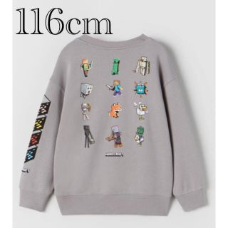 ザラキッズ(ZARA KIDS)の新品　マインクラフト　トレーナー　スウェットシャツ　6歳　116cm(Tシャツ/カットソー)