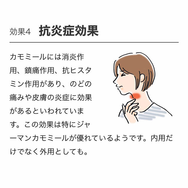 生活の木(セイカツノキ)の生活の木ハーブティ　お休み前のカモマイルブレンド　私の30日茶ティーバック30包 食品/飲料/酒の飲料(茶)の商品写真