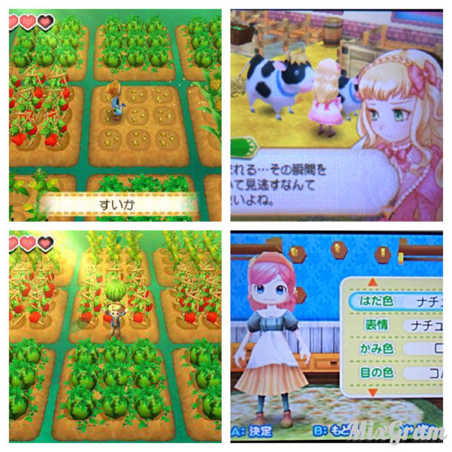最終値下 3ds 牧場物語 つながる新天地の通販 By Muu S Shop ラクマ 最終値下 3ds 牧場物語 つながる新天地の通販 By Muu S Shop ラクマ