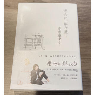 運命に、似た恋(文学/小説)