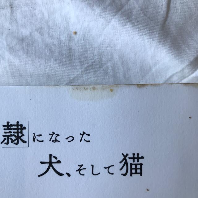 「奴隷」になった犬、そして猫 太田匡彦 エンタメ/ホビーの本(文学/小説)の商品写真