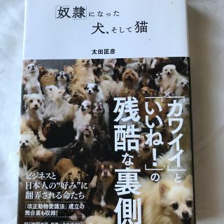 「奴隷」になった犬、そして猫 太田匡彦(文学/小説)