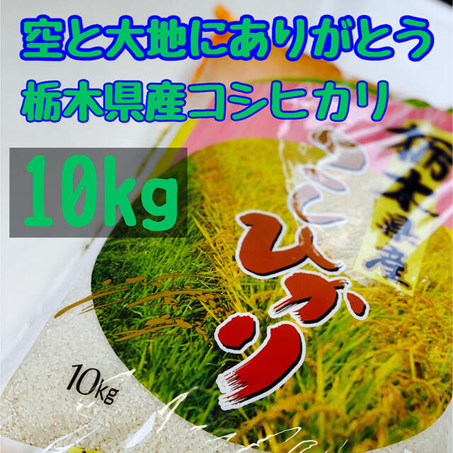 令和3年【空と大地にありがとう】栃木県産コシヒカリ 白米10kg 【関東無料】 食品/飲料/酒の食品(米/穀物)の商品写真