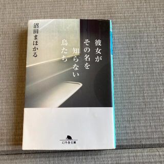 彼女がその名を知らない鳥たち(文学/小説)