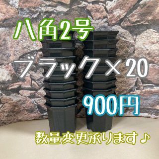 八角鉢 ◎20個◎ ブラック 2号 2寸 プラ鉢 ミニ鉢 (プランター)