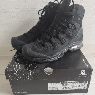 サロモン(SALOMON)のSALOMON QUEST 4D GTX ADV(スニーカー)