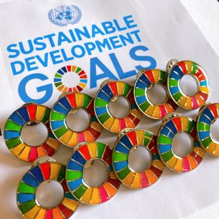 SDGs ピンバッジ　特別提供アウトレット品　10点セット(バッジ/ピンバッジ)